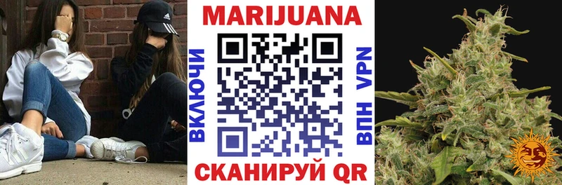 где купить наркоту  Красноармейск  Конопля White Widow 